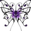 1amazingbfly